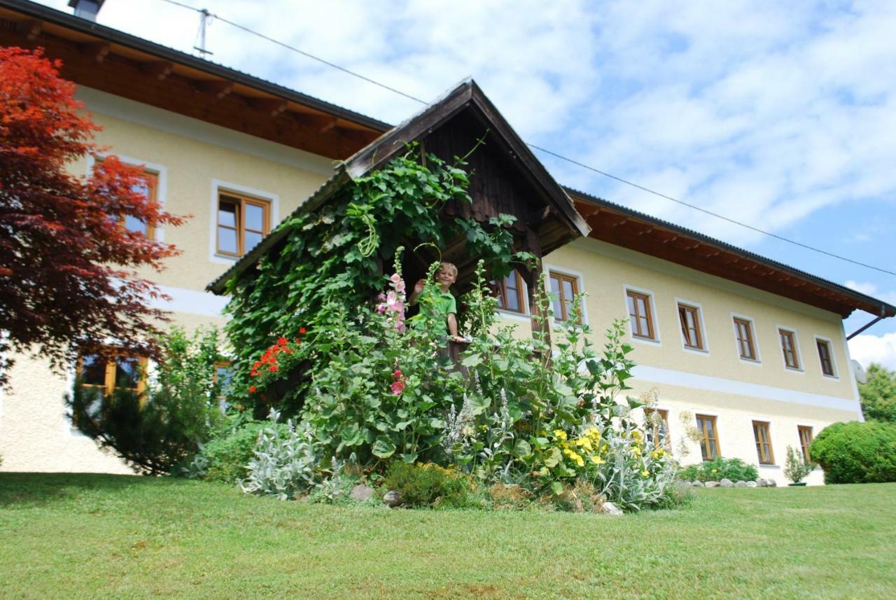 Villa Bauernhof Unteres Feld Altmünster Exterior foto